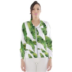 Sheets Tropical Plant Palm Summer Exotic Women s Windbreaker by artworkshop