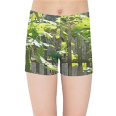 Bitter Melon Kids  Sports Shorts