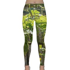 Bitter Melon Classic Yoga Leggings