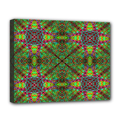 Stringy Time Deluxe Canvas 20  X 16  (stretched) by Thespacecampers