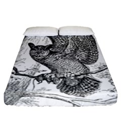 Owl-animals-wild-jungle-nature Fitted Sheet (queen Size) by Jancukart