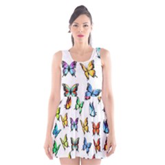 Big Collection Off Colorful Butterfiles Scoop Neck Skater Dress by nate14shop