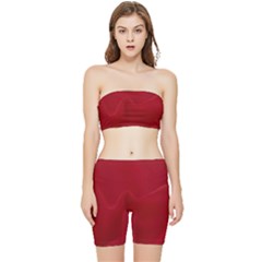 Fabric-b 002 Stretch Shorts And Tube Top Set