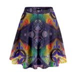 Phronesis-awareness-philosophy High Waist Skirt