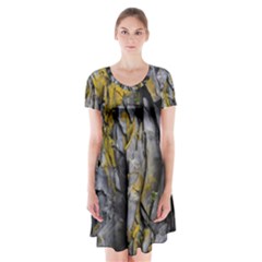 Rock Wall Crevices Geology Pattern Shapes Texture Short Sleeve V-neck Flare Dress by artworkshop
