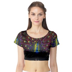 Beautiful Peacock Feather Short Sleeve Crop Top by Jancukart