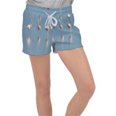 Flamingo Birds Plumage Sea Water Velour Lounge Shorts by artworkshop