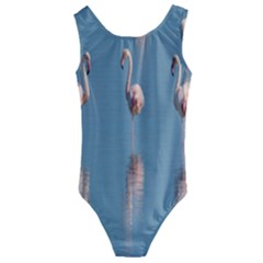 Flamingo Birds Plumage Sea Water Animal Exotic Kids  Cut-out Back One Piece Swimsuit by artworkshop