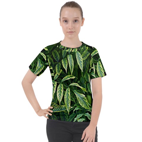 Leaves Foliage Twig Bush Plant Women s Sport Raglan Tee by artworkshop