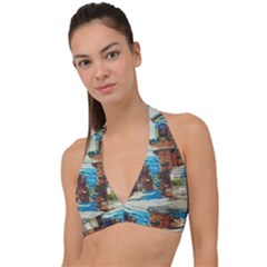 An Italian Neighborhood  Halter Plunge Bikini Top by ConteMonfrey