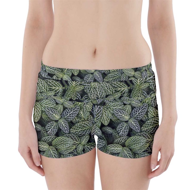 Leaves Foliage Botany Plant Boyleg Bikini Wrap Bottoms