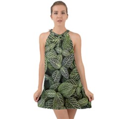 Leaves Foliage Botany Plant Halter Tie Back Chiffon Dress