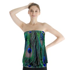 Beautiful Peacock Feathers Strapless Top