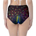 Beautiful Peacock Feather Classic High-Waist Bikini Bottoms View2