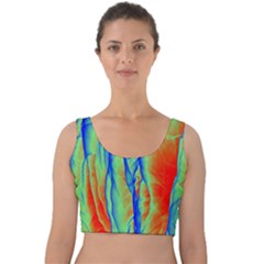 Pattern Design Decorative Art Velvet Crop Top