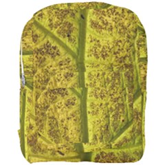 Leaf Structure Texture Background Full Print Backpack by Wegoenart