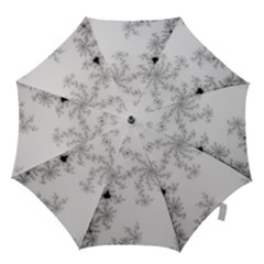 Mandelbrot Apple Males Mathematics Hook Handle Umbrellas (large) by Jancukart