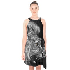 Roar Angry Male Lion Black Halter Collar Waist Tie Chiffon Dress by danenraven