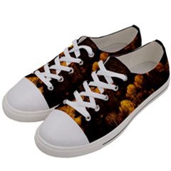 Autumn Fall Foliage Forest Trees Woods Nature Men s Low Top Canvas Sneakers by danenraven