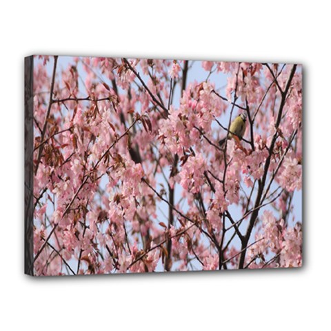 Japanese Sakura Background Canvas 16  X 12  (stretched) by artworkshop
