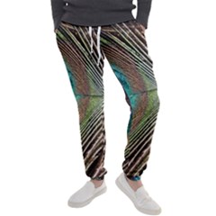 Peacock Men s Jogger Sweatpants