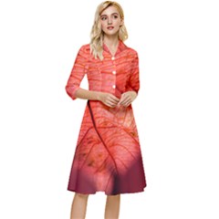 Leaf Copper Leaf Plant Nature Classy Knee Length Dress