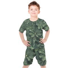 Leaves Closeup Background Photo1 Kids  Tee And Shorts Set by dflcprintsclothing
