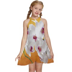 Boards Decoration Flower Flower Room Kids  Halter Collar Waist Tie Chiffon Dress by artworkshop