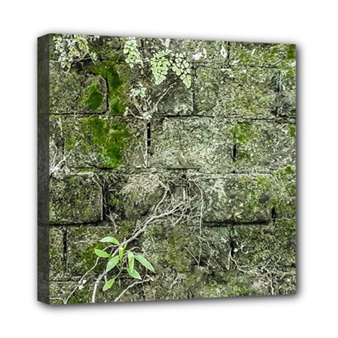 Old Stone Exterior Wall With Moss Mini Canvas 8  X 8  (stretched) by dflcprintsclothing