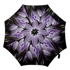 Crocus Flowers Purple Flowers Spring Nature Hook Handle Umbrellas (small) by Ravend