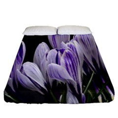 Crocus Flowers Purple Flowers Spring Nature Fitted Sheet (queen Size)