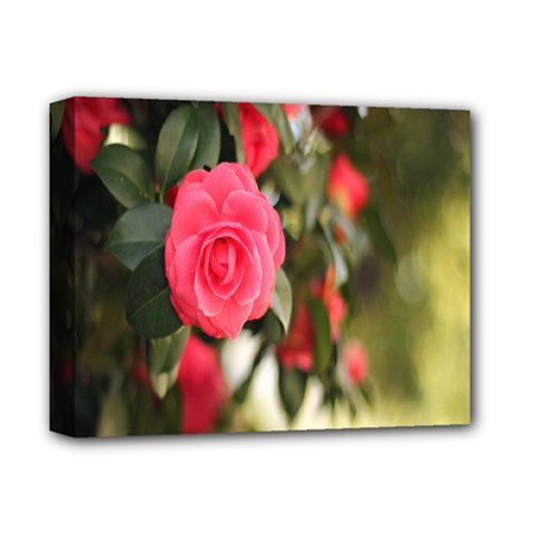 Flower Deluxe Canvas 14  X 11  (stretched) by artworkshop