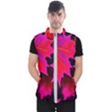 Leaves Purple Autumn Evening Sun Abstract Men s Puffer Vest View1