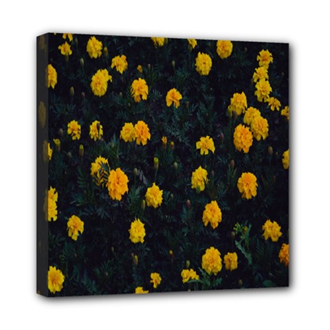 Bloomed Yellow Petaled Flower Plants Mini Canvas 8  X 8  (stretched) by artworkshop