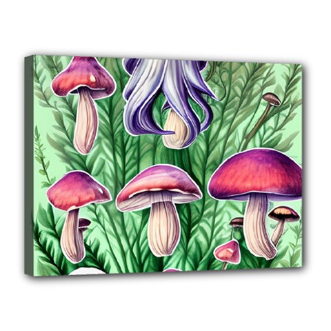 Natural Mushrooms Canvas 16  X 12  (stretched) by GardenOfOphir