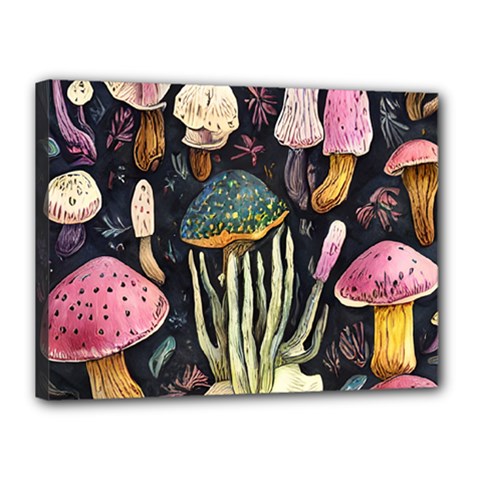 Natural Mushroom Canvas 16  X 12  (stretched)