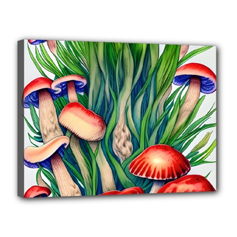 Vintage Mushroom Canvas 16  X 12  (stretched) by GardenOfOphir