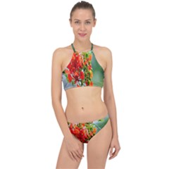 Gathering Sping Flowers  Racer Front Bikini Set by artworkshop