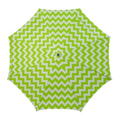 Pattern 120 Golf Umbrellas by GardenOfOphir