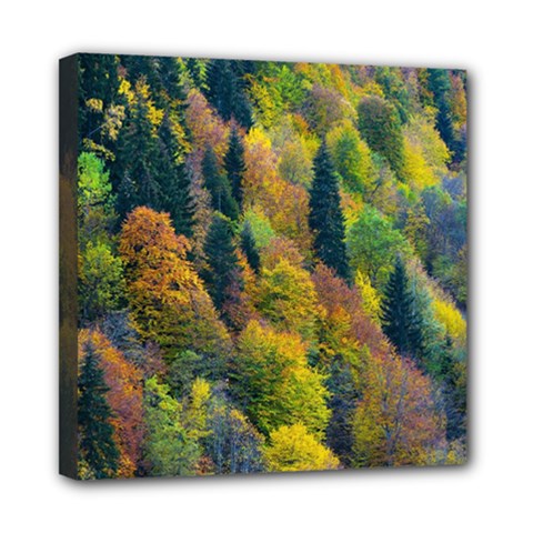 Forest Trees Leaves Fall Autumn Nature Sunshine Mini Canvas 8  X 8  (stretched) by Ravend