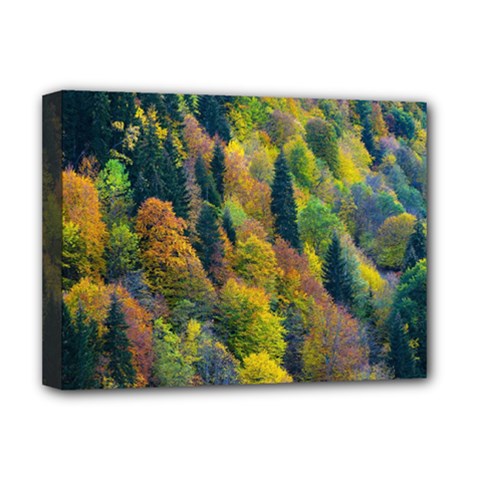 Forest Trees Leaves Fall Autumn Nature Sunshine Deluxe Canvas 16  X 12  (stretched)  by Ravend