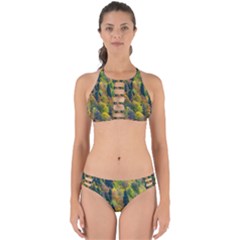 Forest Trees Leaves Fall Autumn Nature Sunshine Perfectly Cut Out Bikini Set