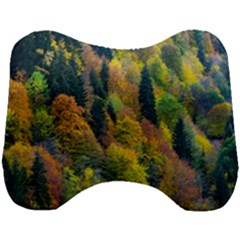 Forest Trees Leaves Fall Autumn Nature Sunshine Head Support Cushion