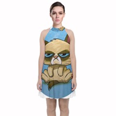 Grumpy Cat Velvet Halter Neckline Dress  by Jancukart