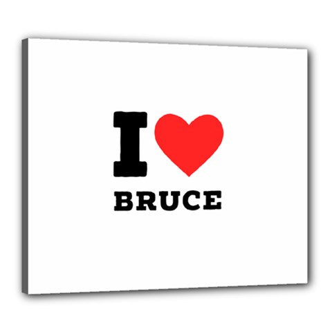 I Love Bruce Canvas 24  X 20  (stretched) by ilovewhateva