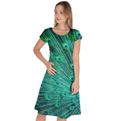 Green And Blue Peafowl Peacock Animal Color Brightly Colored Classic Short Sleeve Dress by Semog4