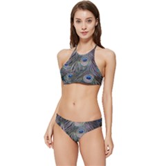 Peacock Feathers Peacock Bird Feathers Banded Triangle Bikini Set