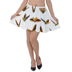 Butterfly Butterflies Insect Swarm Velvet Skater Skirt by Salman4z