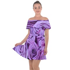 Roses-52 Off Shoulder Velour Dress by nateshop