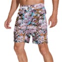 Nature Beautiful Rainbow Men s Beach Shorts View2